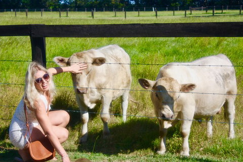 Brewery And Distillery Full-Day Tour In New South Wales - Kingaroy Accommodation 17