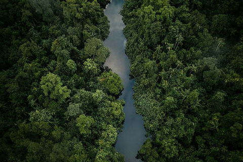 World Heritage Highlights: Reef/Daintree/Cape Tribulation - Kingaroy Accommodation 10