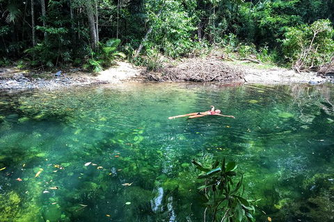 World Heritage Highlights: Reef/Daintree/Cape Tribulation - Kingaroy Accommodation 4