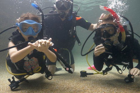 Scuba Kids- Padi Bubblemaker Course - Kingaroy Accommodation 4