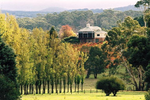 Adelaide Hills Wine Tour - Kingaroy Accommodation 0