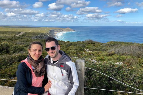 NEW TOUR - Flinders Chase Tour (Recovering From Fires) - Kingaroy Accommodation 3