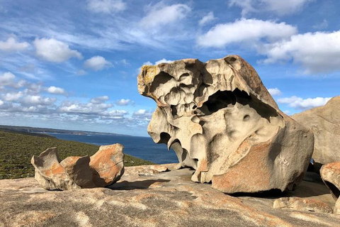 NEW TOUR - Flinders Chase Tour (Recovering From Fires) - Kingaroy Accommodation 2