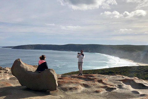 NEW TOUR - Flinders Chase Tour (Recovering From Fires) - Kingaroy Accommodation 5