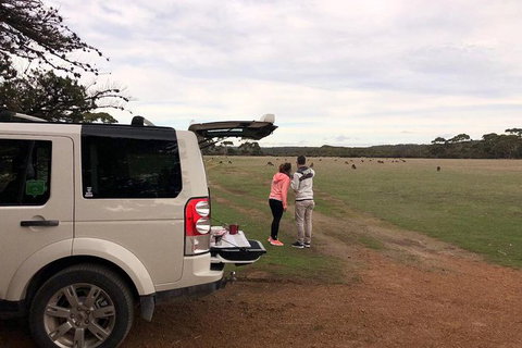 NEW TOUR - Flinders Chase Tour (Recovering From Fires) - Kingaroy Accommodation 6