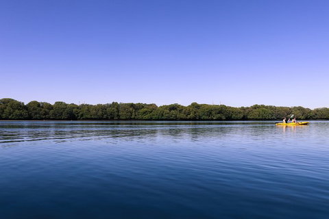 Dolphin Sanctuary Kayaking In Adelaide - Kingaroy Accommodation 2