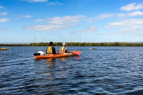 Dolphin Sanctuary Kayaking In Adelaide - Kingaroy Accommodation 0
