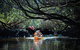 Dolphin Sanctuary Kayaking In Adelaide - thumb 4