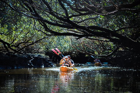 Dolphin Sanctuary Kayaking In Adelaide - Kingaroy Accommodation 4