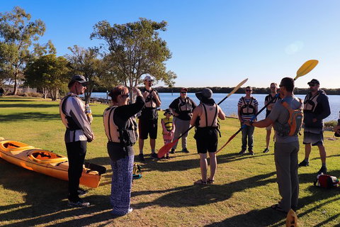 Dolphin Sanctuary Kayaking In Adelaide - Kingaroy Accommodation 6