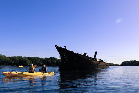 Dolphin Sanctuary Kayaking In Adelaide - Kingaroy Accommodation 5