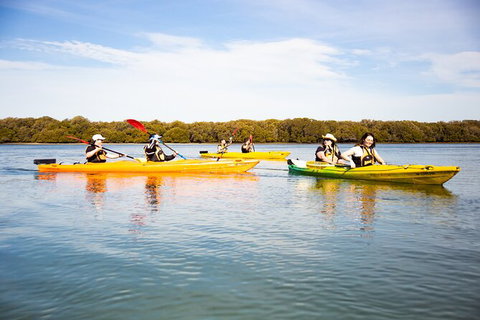 Dolphin Sanctuary Kayaking In Adelaide - Kingaroy Accommodation 1