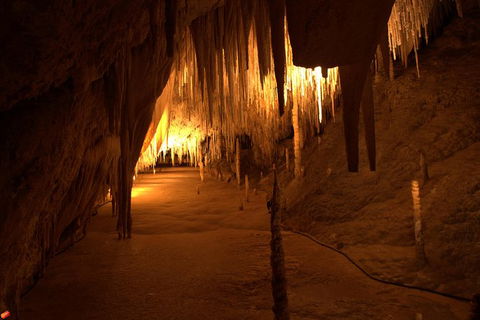 Tahune Airwalk Active Day Trip From Hobart Including Hastings Caves - Kingaroy Accommodation 8