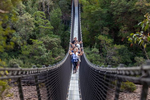 Tahune Airwalk Active Day Trip From Hobart Including Hastings Caves - Kingaroy Accommodation 0