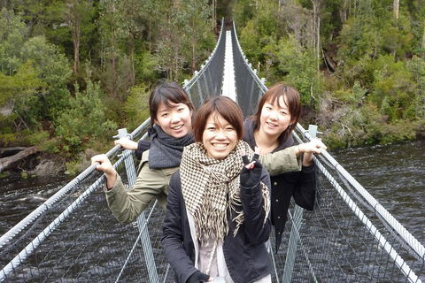 Tahune Airwalk Active Day Trip From Hobart Including Hastings Caves - Kingaroy Accommodation 7