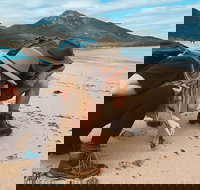 Freycinet Walking Tour - Kingaroy Accommodation