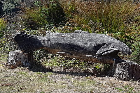 Cruise Ship Excursion: Gourmet Food & Wine - Kingaroy Accommodation 10