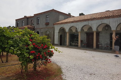 Cruise Ship Excursion: Gourmet Food & Wine - Kingaroy Accommodation 18