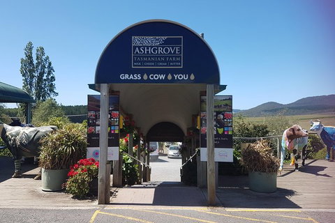 Cruise Ship Excursion: Gourmet Food & Wine - Kingaroy Accommodation 8