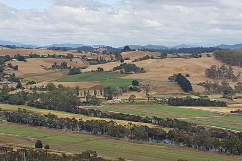 Cruise Ship Excursion: Gourmet Food & Wine - Kingaroy Accommodation 6