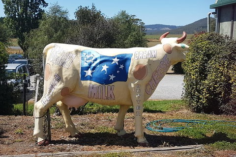 Cruise Ship Excursion: Gourmet Food & Wine - Kingaroy Accommodation 12