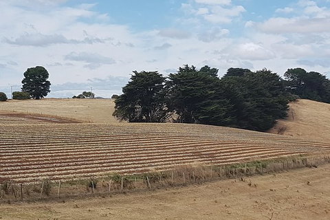 Cruise Ship Excursion: Gourmet Food & Wine - Kingaroy Accommodation 9