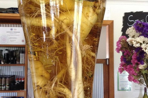 Cruise Ship Excursion: Gourmet Food & Wine - Kingaroy Accommodation 14