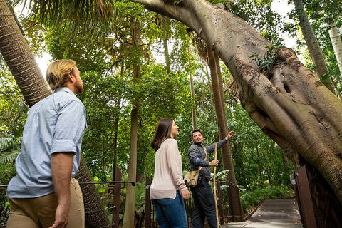 Aboriginal Heritage Walk - Royal Botanic Gardens Victoria, Melbourne Gardens - Kingaroy Accommodation 1