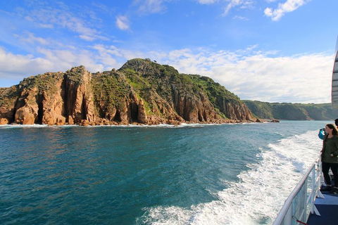 Dolphin & Whale Cruise - Kingaroy Accommodation 2