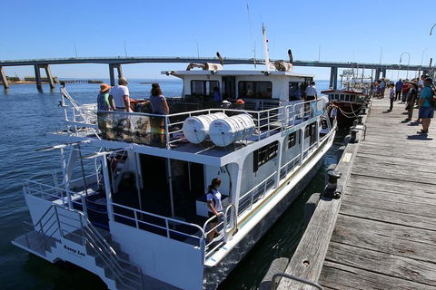 Dolphin & Whale Cruise - Kingaroy Accommodation 1