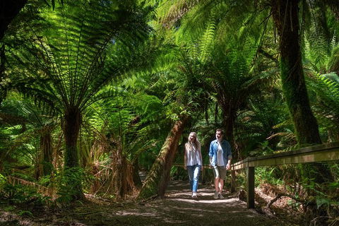The Great Ocean Road 1 Day Private Sunset Tour - Kingaroy Accommodation 1