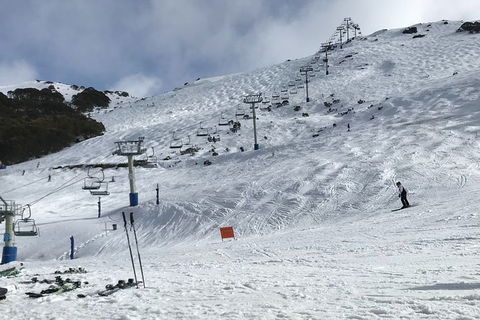 Alpine Ultimate Snow Trip - Kingaroy Accommodation 5