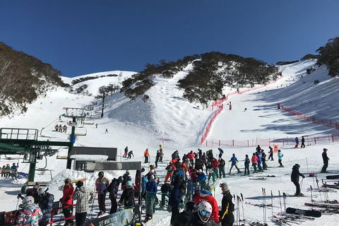 Alpine Ultimate Snow Trip - Kingaroy Accommodation 4