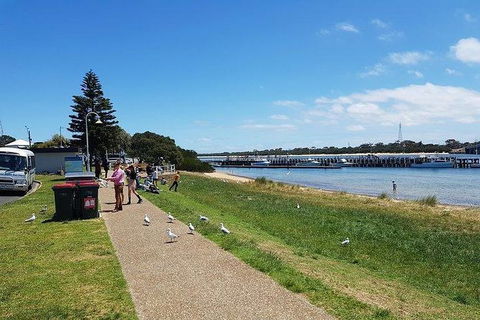 Phillip Island Penguin And Wildlife Tour - Kingaroy Accommodation 25
