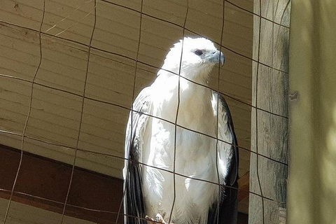 Phillip Island Penguin And Wildlife Tour - Kingaroy Accommodation 21