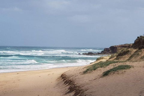 Phillip Island Penguin And Wildlife Tour - Kingaroy Accommodation 10