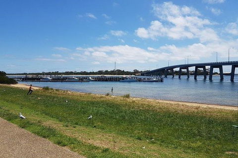 Phillip Island Penguin And Wildlife Tour - Kingaroy Accommodation 24
