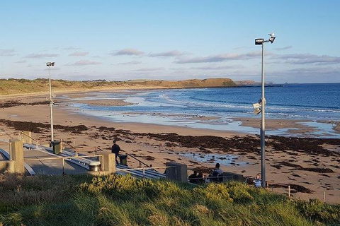 Phillip Island Penguin And Wildlife Tour - Kingaroy Accommodation 8