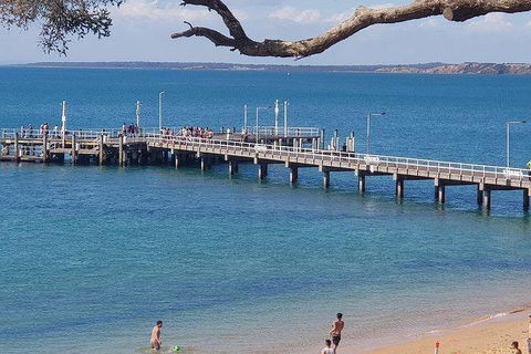 Phillip Island Penguin And Wildlife Tour - Kingaroy Accommodation 2