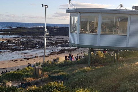 Phillip Island Penguin And Wildlife Tour - Kingaroy Accommodation 33