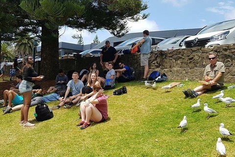 Phillip Island Penguin And Wildlife Tour - Kingaroy Accommodation 22