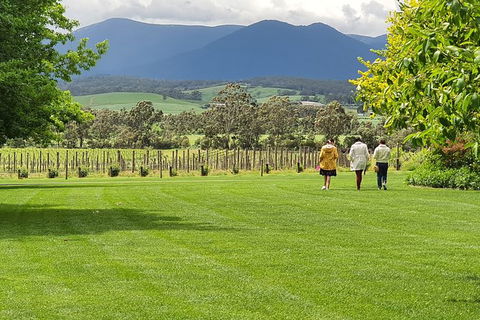 Yarra Valley Wine Tasting Day Tour From Melbourne - Kingaroy Accommodation 6