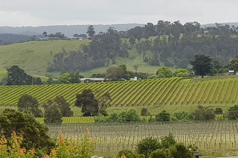 Yarra Valley Wine Tasting Day Tour From Melbourne - Kingaroy Accommodation 0