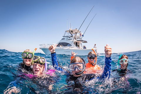 Life On Ningaloo Swimming Tour In Exmouth - Kingaroy Accommodation 4