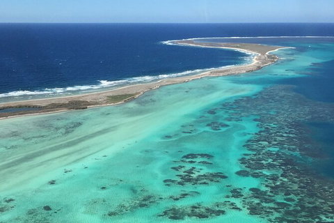 Pink Lake + Abrolhos Islands Nature Tour - Kingaroy Accommodation 1