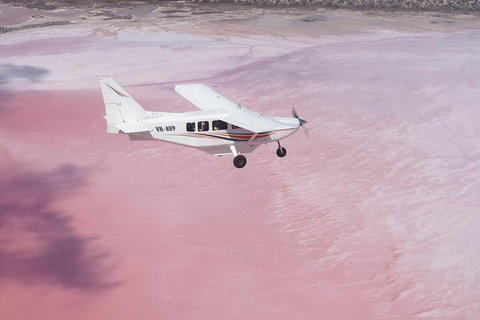 Pink Lake + Abrolhos Islands Nature Tour - Kingaroy Accommodation 3