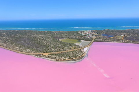 Pink Lake + Abrolhos Islands Nature Tour - Kingaroy Accommodation 0