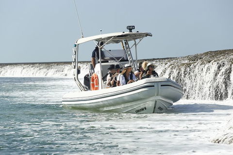 Cygnet Bay Explorer - Kingaroy Accommodation 8
