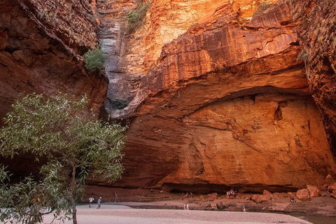 Bungles Day Trek Extended (with Echidna Chasm) - Kingaroy Accommodation 0