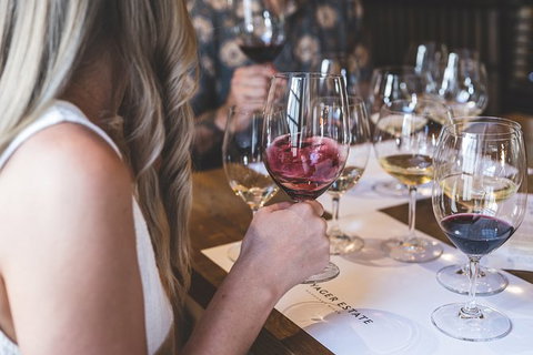 Voyager Estate: The Origins Tasting With Cheeseboard - Kingaroy Accommodation 1